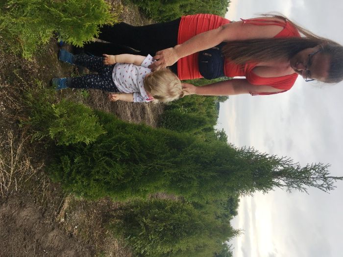 tuja szmaragd do 170cm