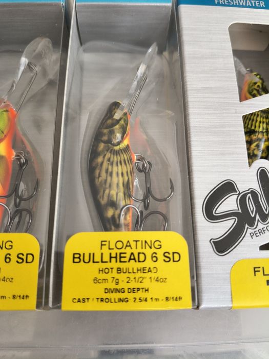 Salmo Bullhead Minnow