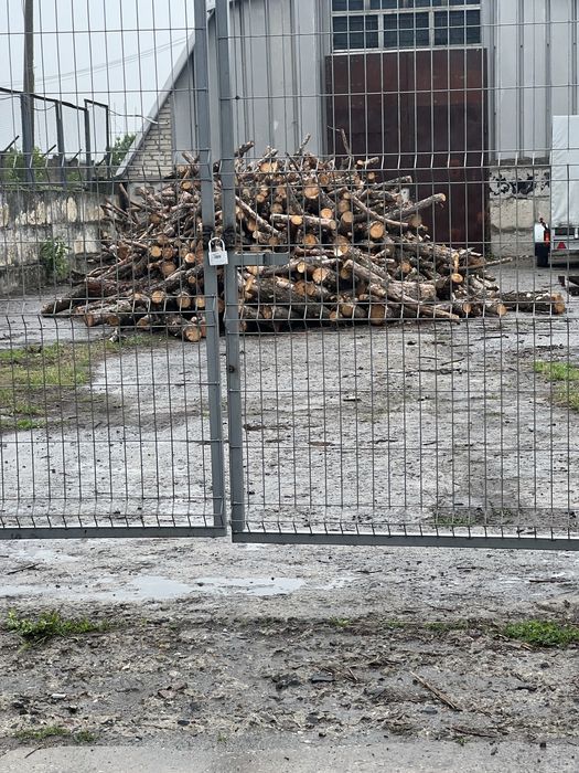 Продам дрова різні породи