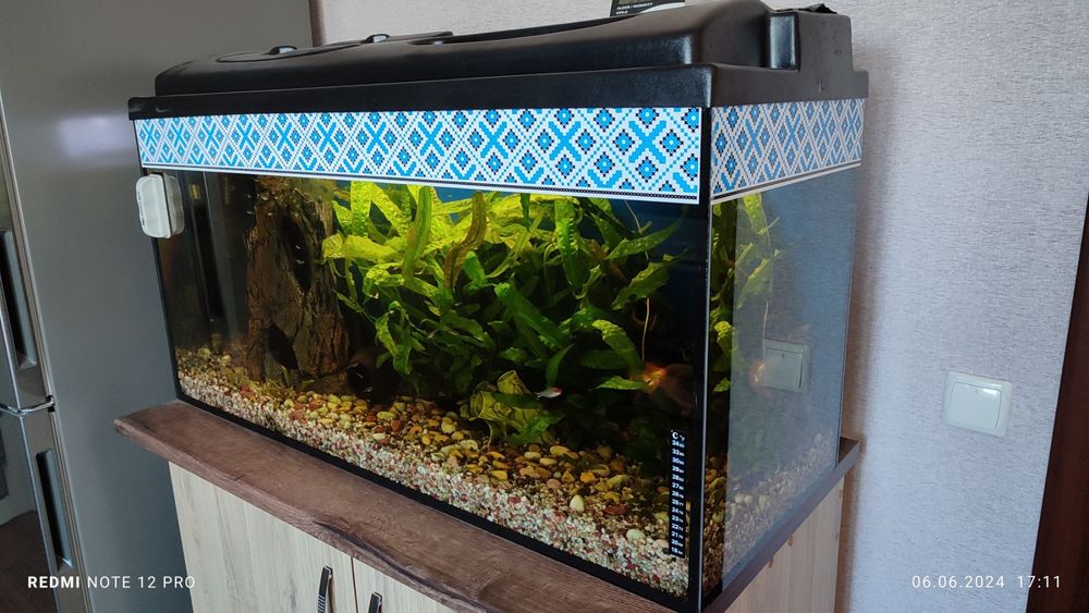 Продам акваріум 280літрів з усім обладнанням і рибками