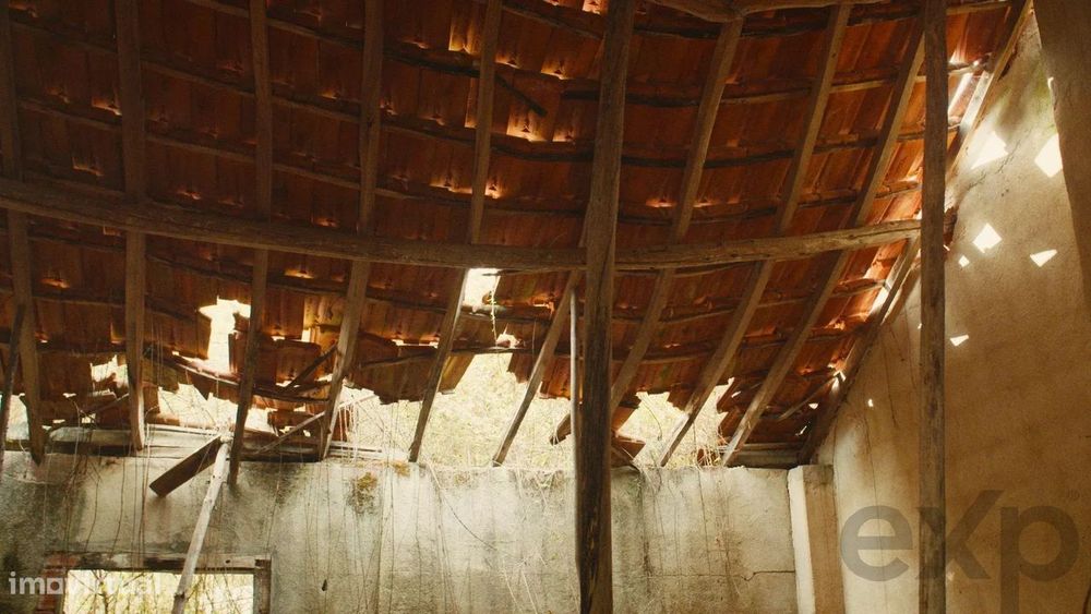 Quinta Florestal de 12,5 Hectares com Casa de Lavrador Centenária em B