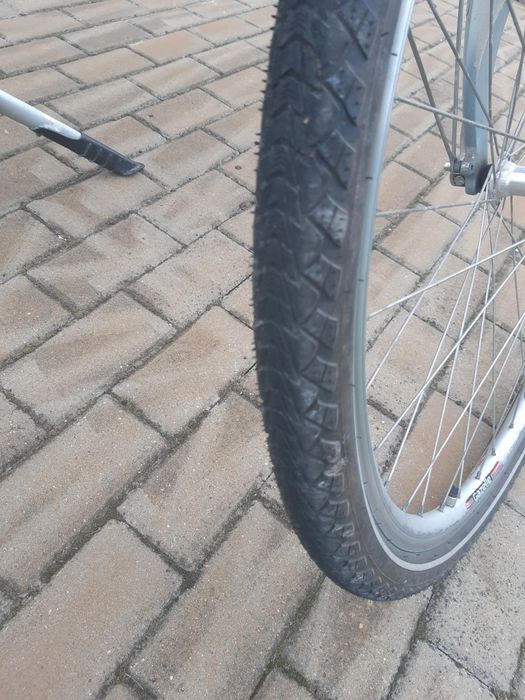 Rower damka gazelle Medeo