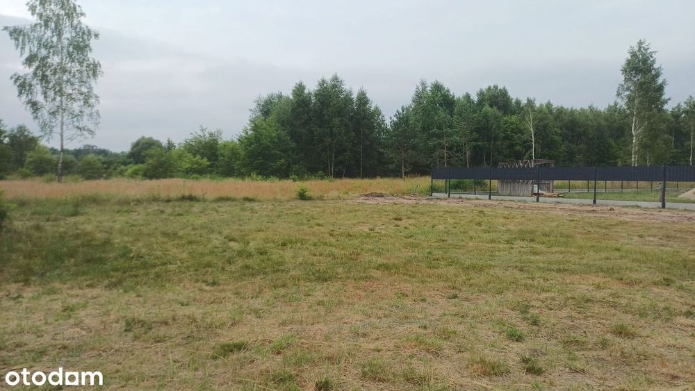 Zdjęcie 2