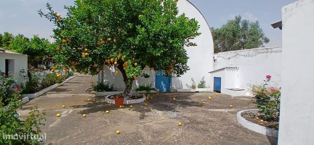 Excelente Oportunidade de Investimento em Santa Vitória, Beja: Moradia