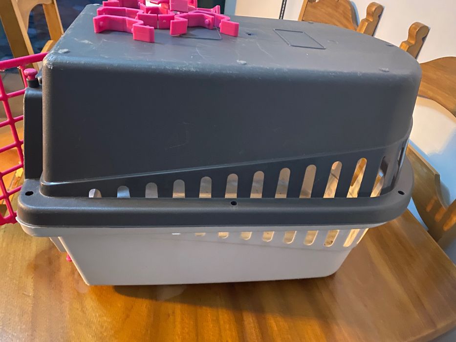 Transportadora animais