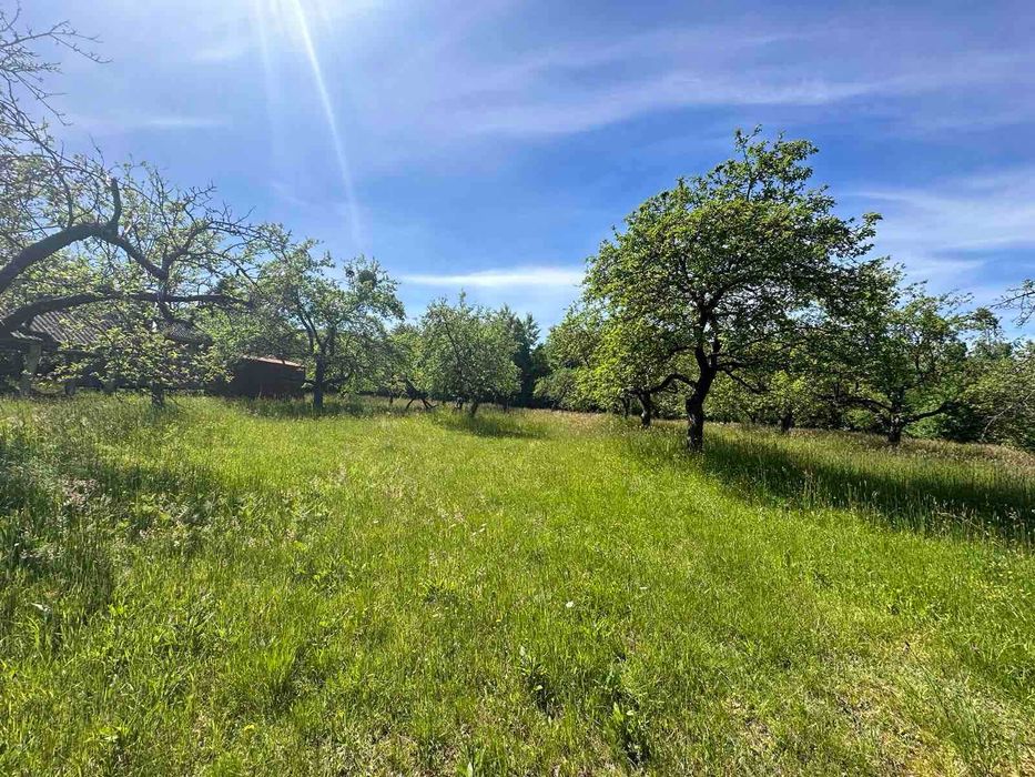 Продається земельна ділянка в с. Ракош