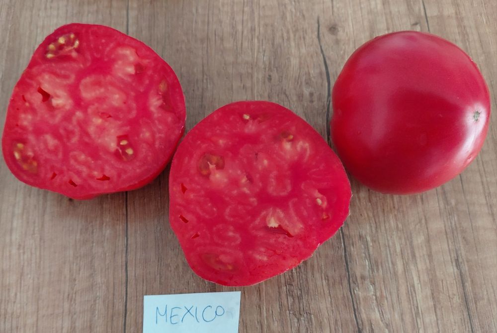 Nasiona kolekcjonerskie pomidorów,  papryk i innych warzyw.