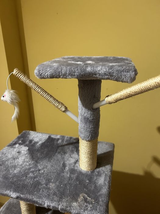 Duzy drapak dla kota