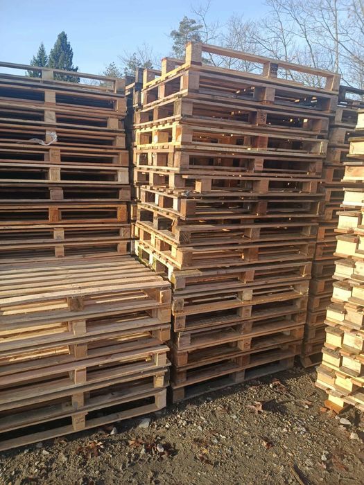 Paleta zwykła 1200x800