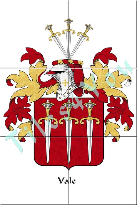 Brasões de armas de famílias portuguesas.