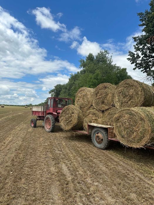 Сіно люцерни в об'ємних тюках