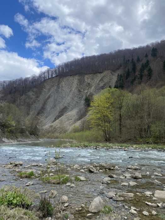 Квартира в Яремче.