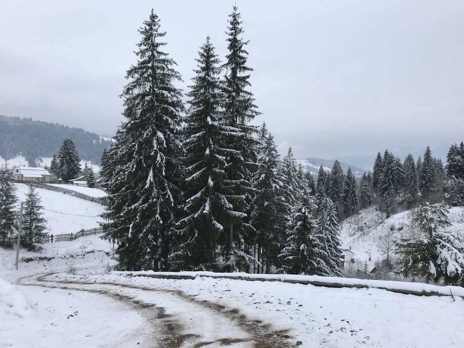 Земля під будівництво земельна ділянка в Карпатах Верхонина