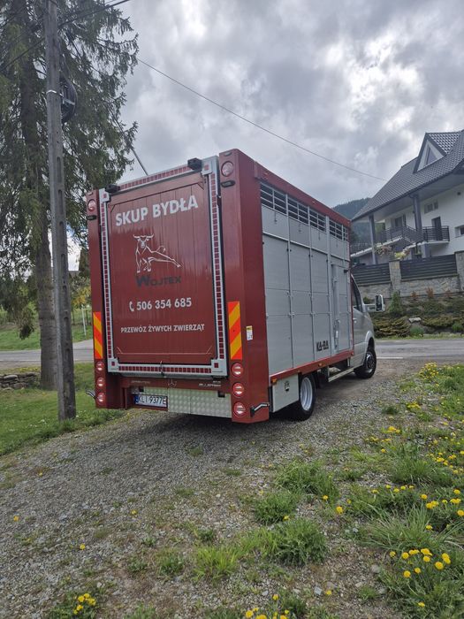 Mercedes Sprinter 519 do przewozu zwierzat