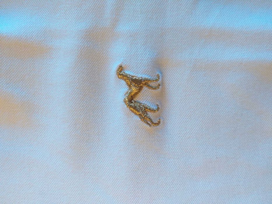 Polo Sacoor - Tamanho L