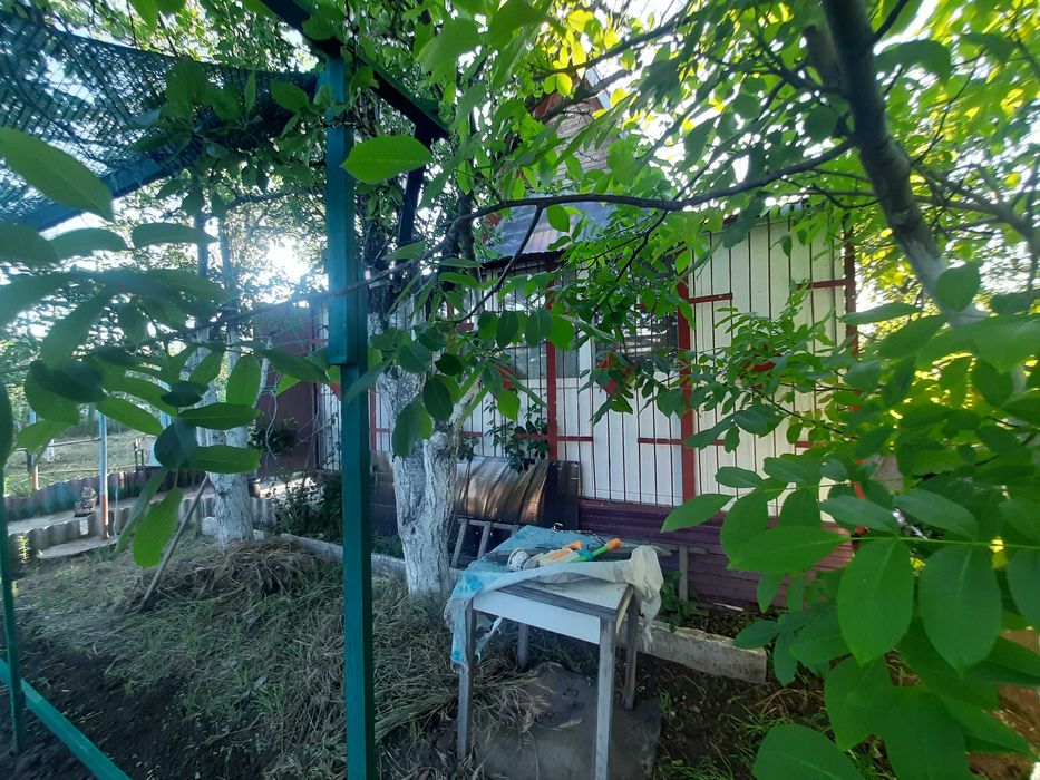 продаю дачу в СВТ Сатурн,  біля с. Калинівка