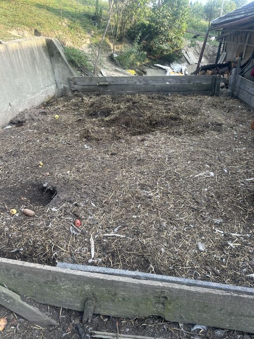 Oddam obornik za darmo kontakt tylko tel