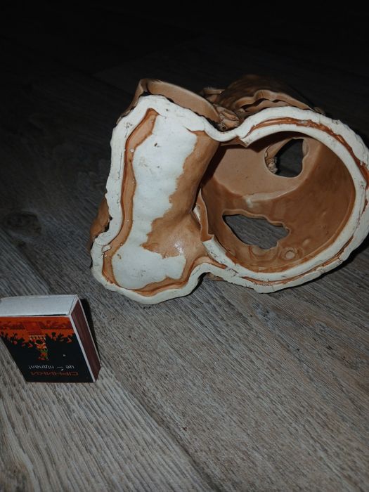 Декор, прикраса для акваріуму