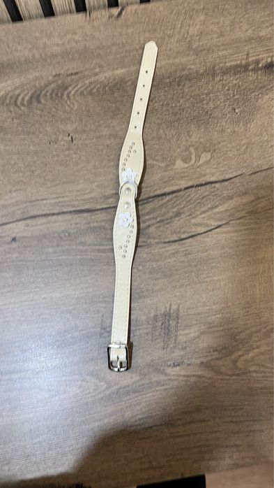 Ошийник світлий мʼякий всередині