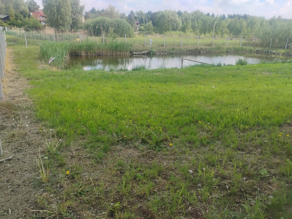 Sprzedam działkę rekreacyjną - Widok 4
