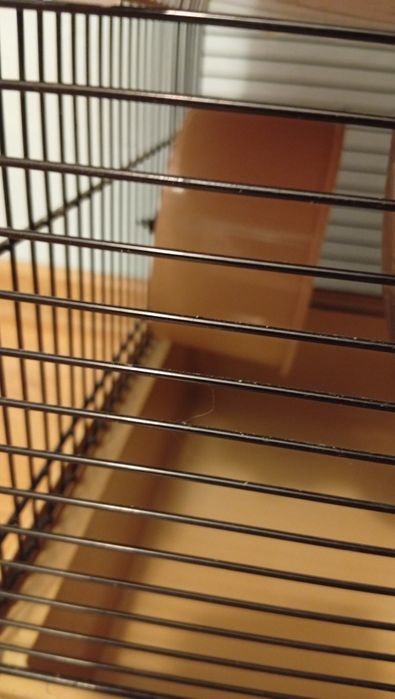 Klatka dla chomika duża okazja