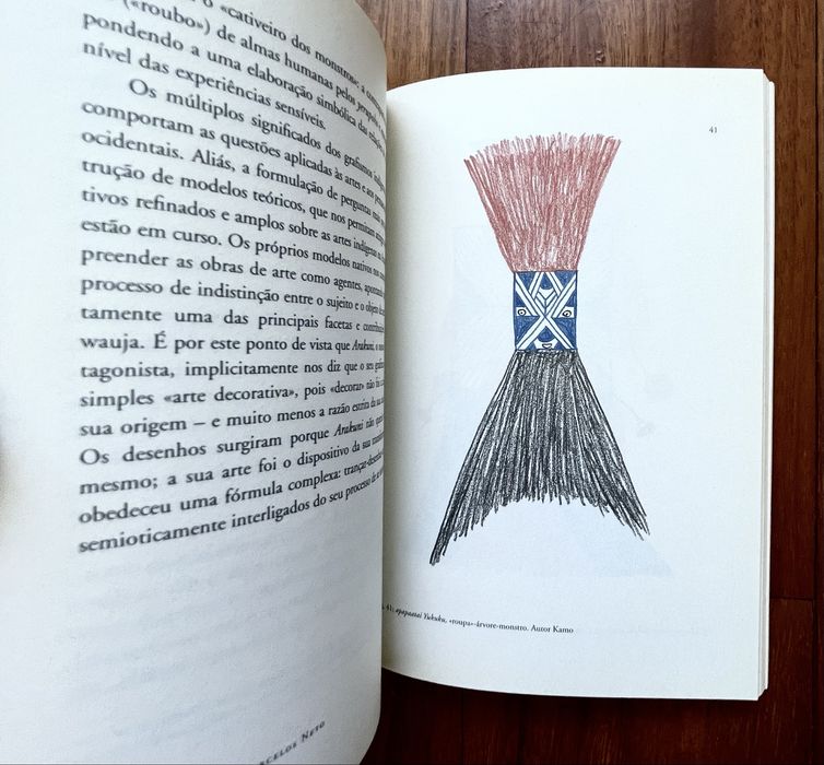 Aristóteles Barcelos Neto - A Arte dos Sonhos: Uma Iconografia Ameríndia