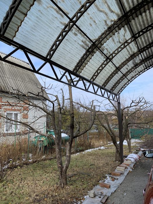 Обрезка плодовых деревьев