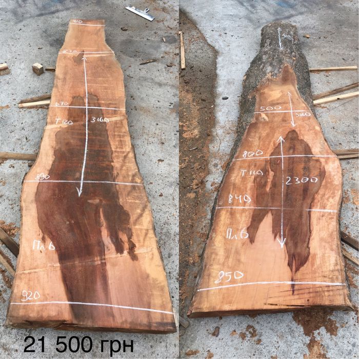 Продольный спил дерева Платана больших размеров, Слэб Платана Николаев