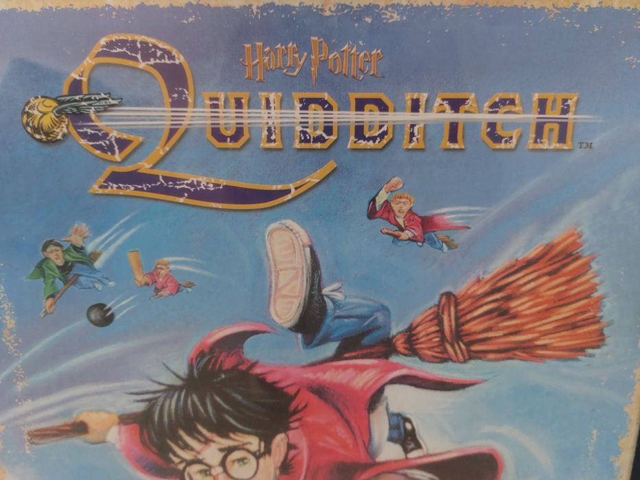 Harry potter quadro