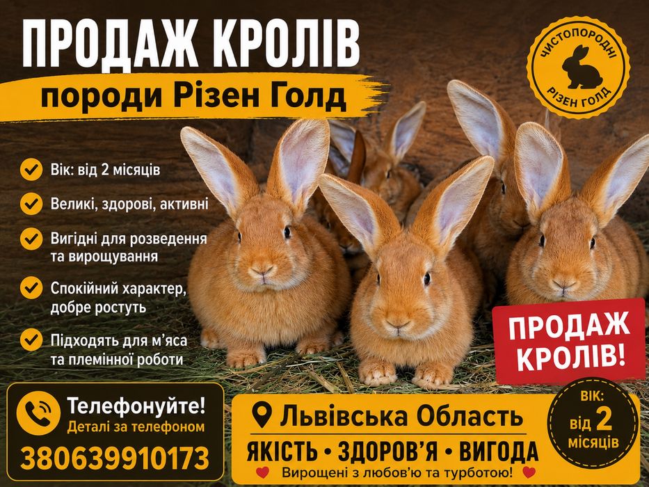 Кролі різного віку