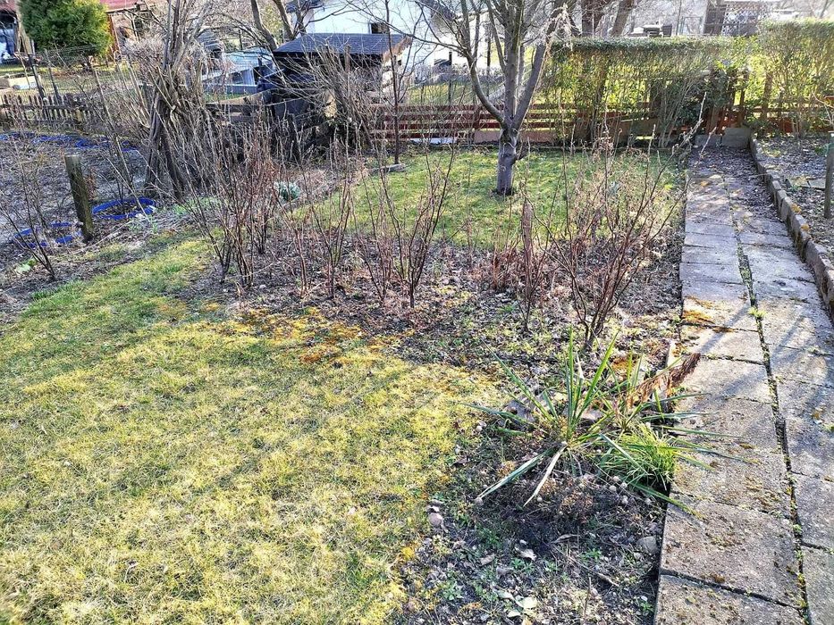 Działka ogrodnicza w atrakcyjnej cenie - More