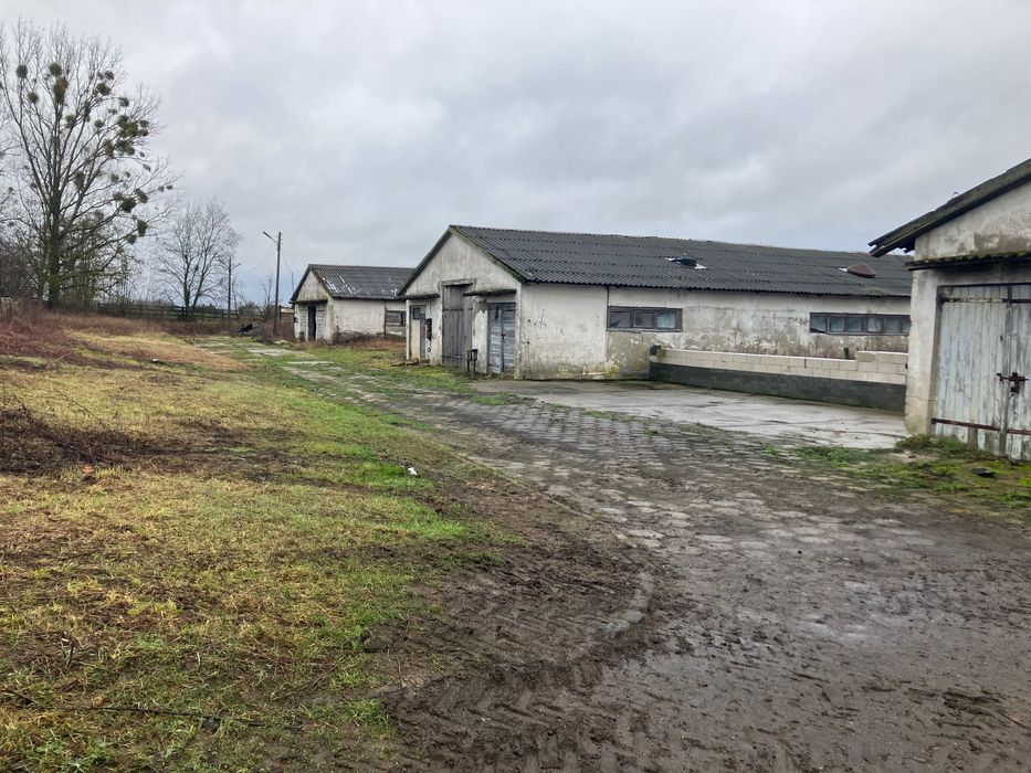 Magazyny do wynajęcia