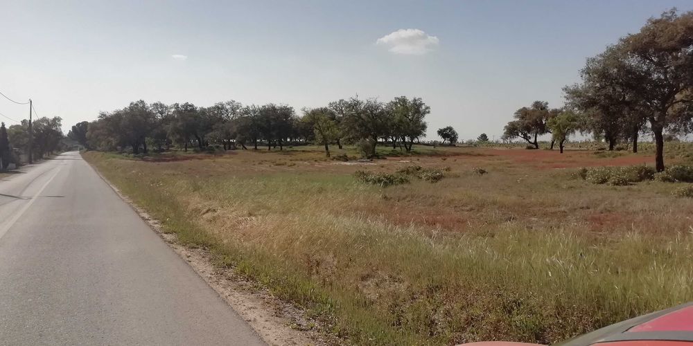 Terreno em Poceirão