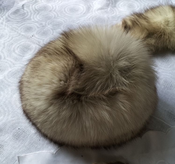 Zestaw - lis biały naturalny