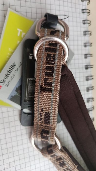 Собачий нашийник, новий