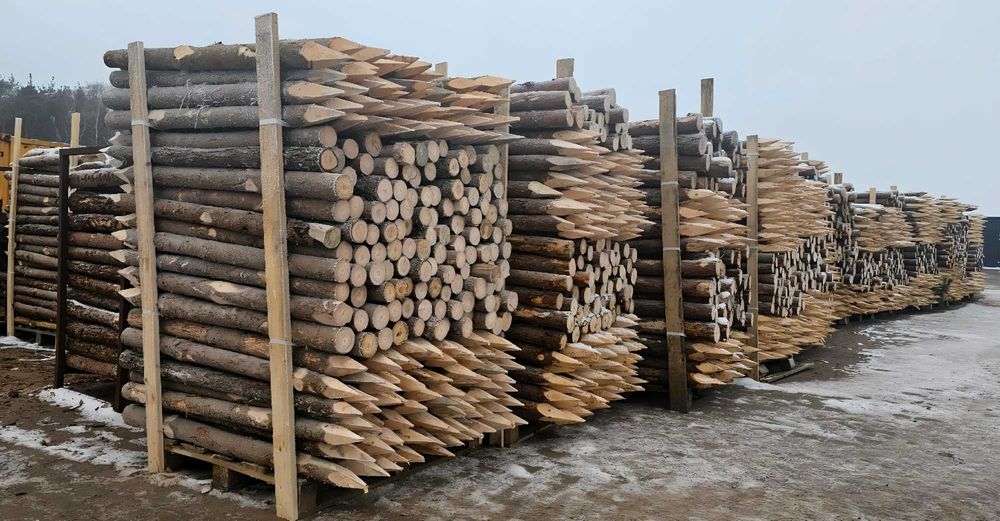 PALIKI - MELIORACJA faszyna i palisada, kołki, pale L=0,8 - 3,0m