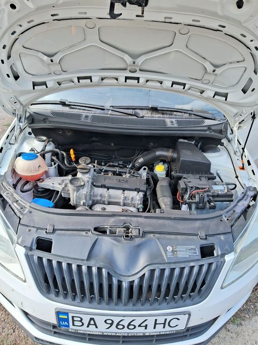 Продам жваву фабію