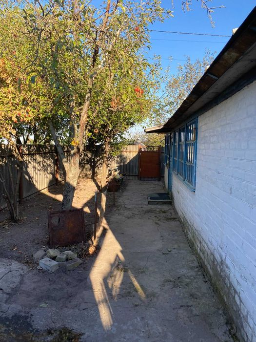 Продам будинок Чернігівська обл. с. Любечанинів