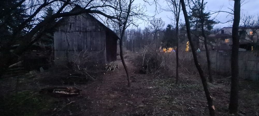 Oddam za darmo gałęzie cieńkie i grube, mix.