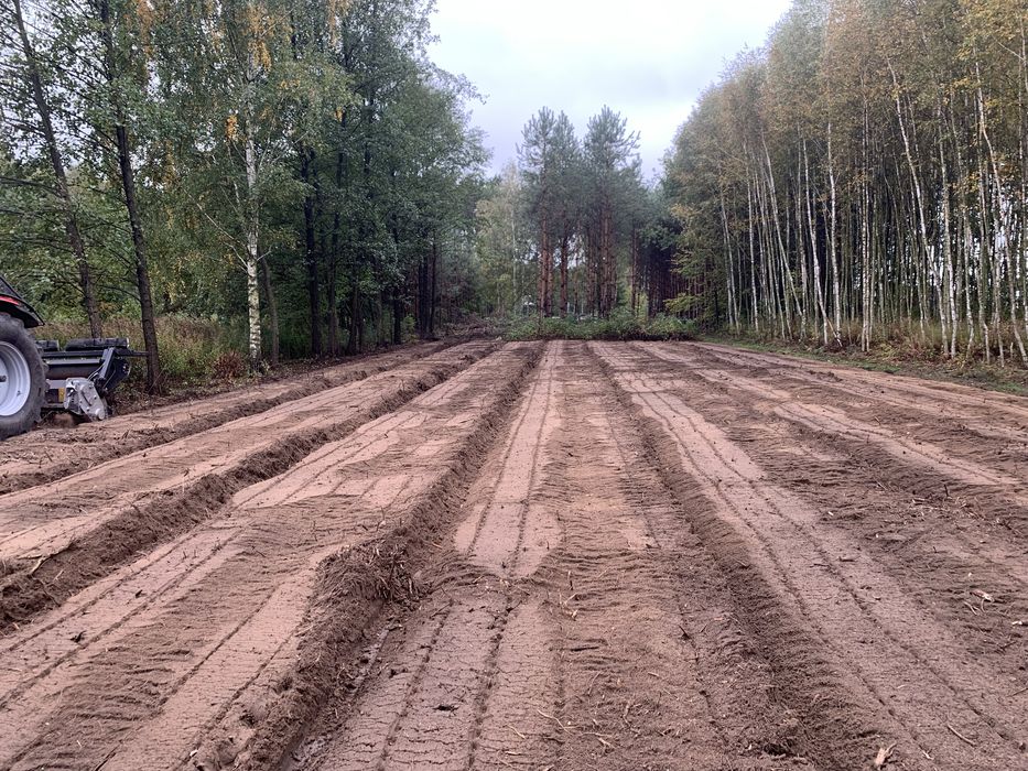 Mulczowanie Karczowanie Rekultywacja Czyszczenie DziałkiMulczerWgłębny