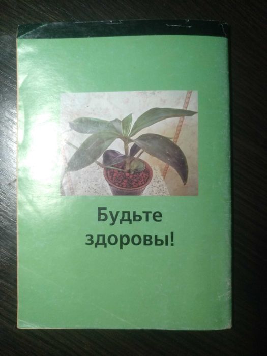 Книга «Лечебный Золотой ус»