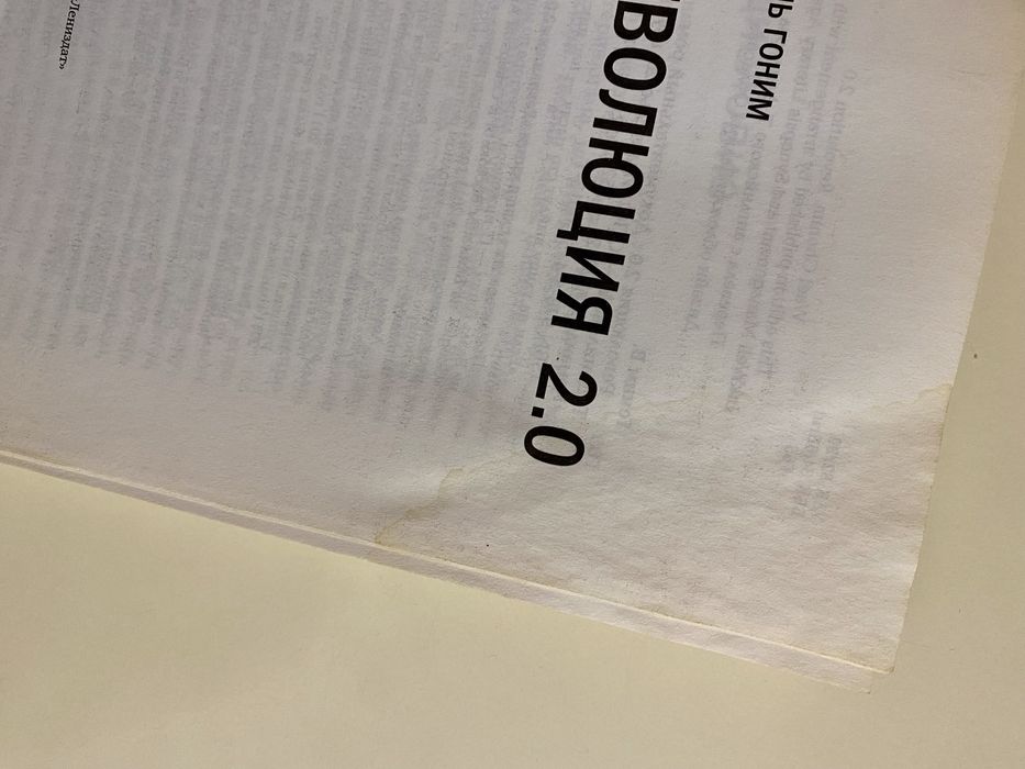 «Революция 2.0», Ваэль Гоним
