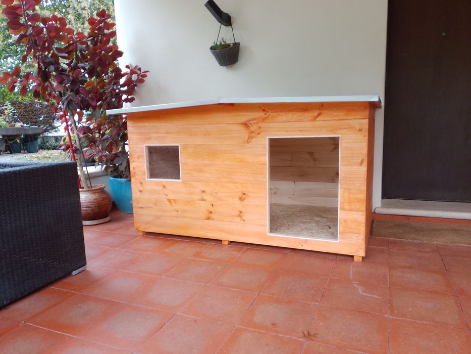 Casota para casal pastor alemao