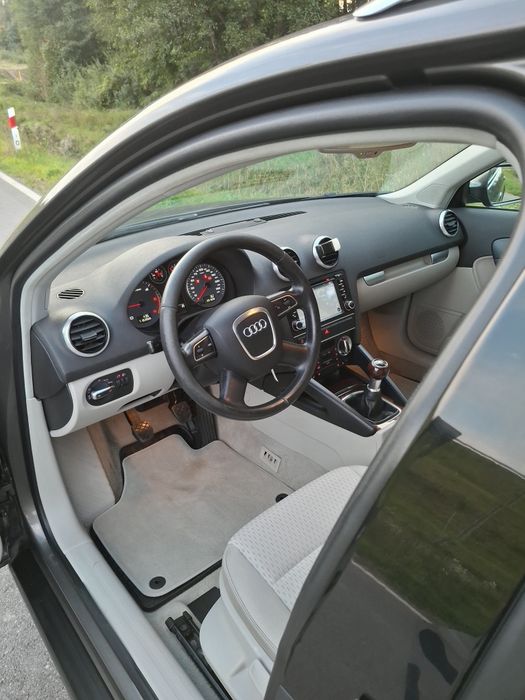 Audi A3 8P 2.0 TDI