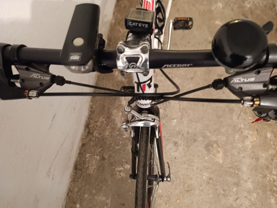 Rower Teamraider Race l