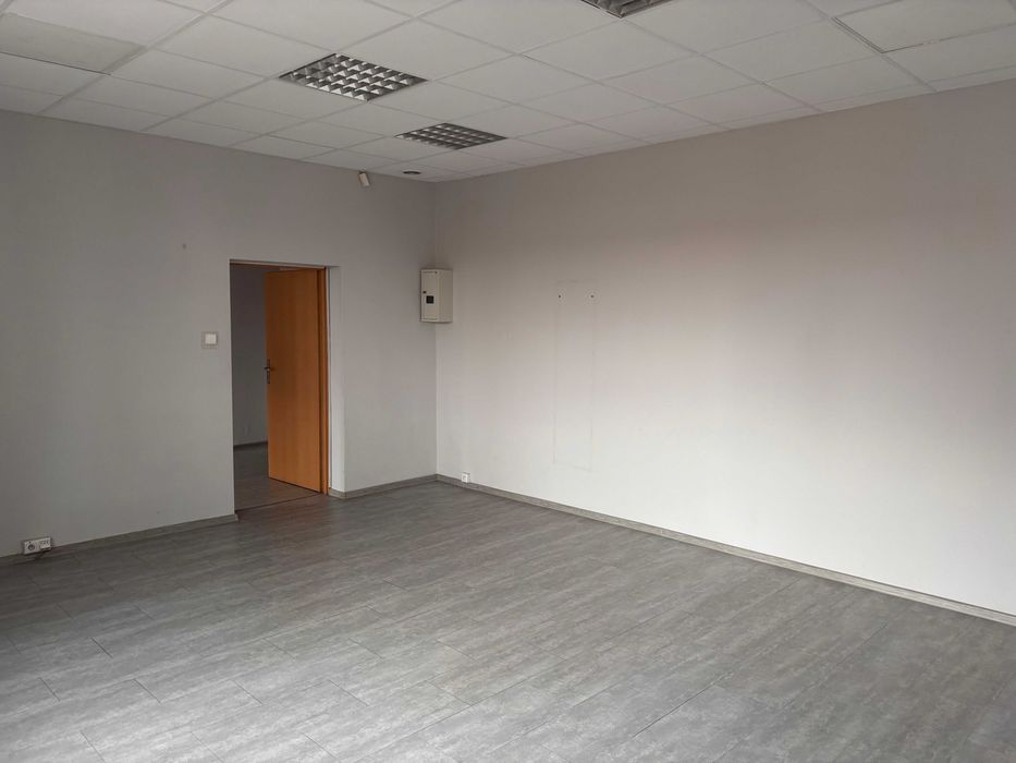 lokal do wynajęcia