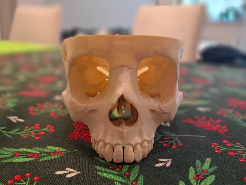 Czaszka Anatomiczna 3D 1:1 – Wersja BAZOWA do nauki