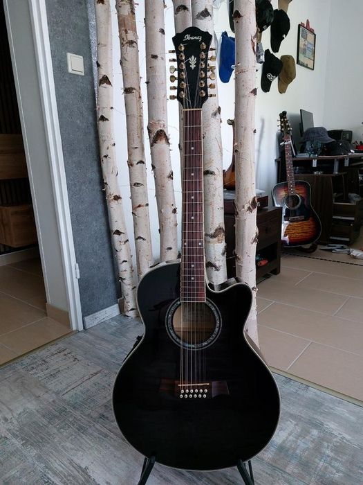 ibanez ael 2012e-tks1204