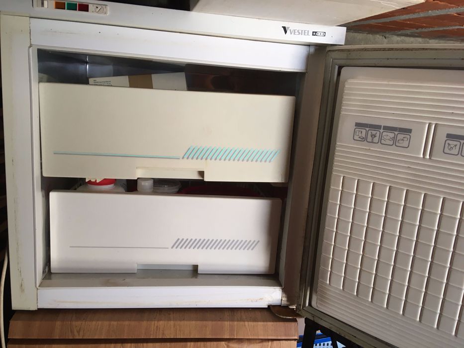 Arca congeladora mini