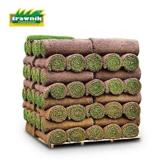Trawa w rolce | Trawnik Producent | Trawnik z rolki
